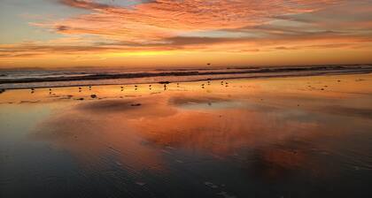 Seahorse Cottage Bungalow - Only 7 Blocks from the Beach