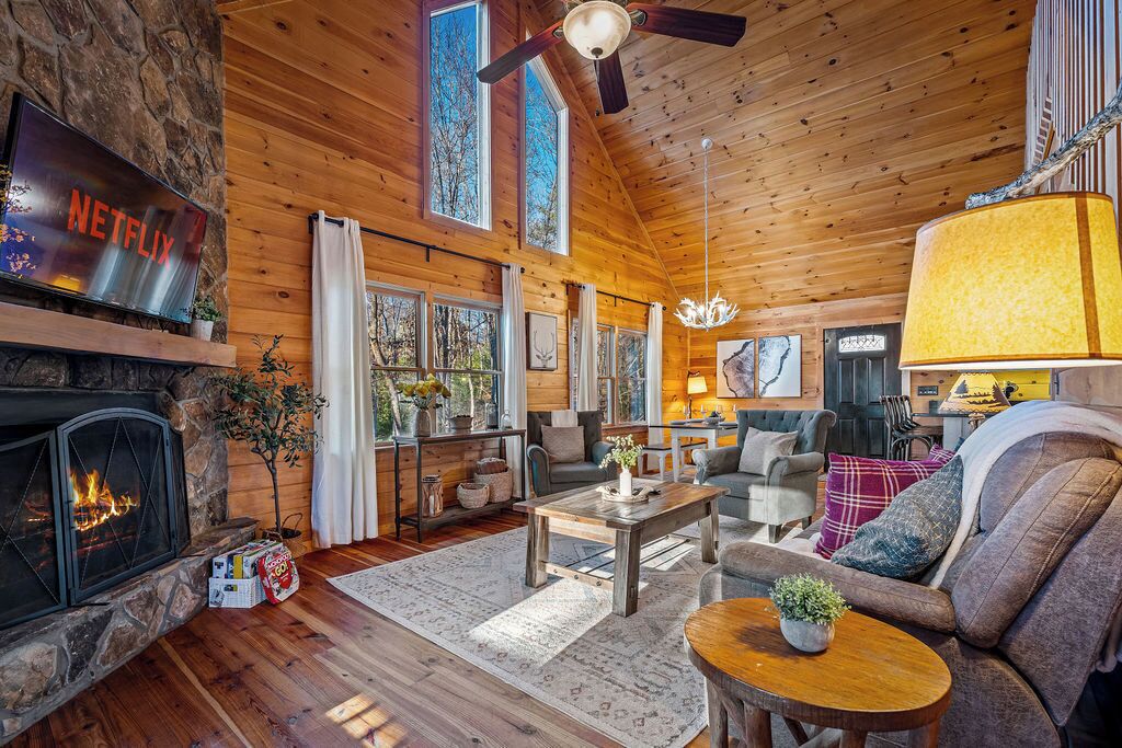 Smart TV, chimenea, videojuegos y libros 