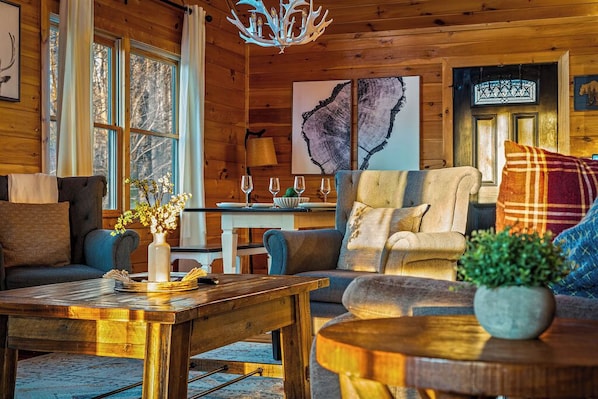 Smart TV, fireplace, video games, books