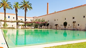 Una piscina con palmeras y un edificio al fondo.