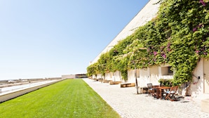 Filas de mesas al aire libre con vista al mar, un área verde y un edificio cubierto de plantas trepadoras.