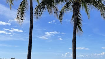 Beach nearby, sun-loungers, beach towels