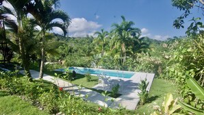 Una piscina rodeada de exuberante vegetación y palmeras.