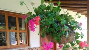 A hanging planter with pink flowers and a potted plant with red flowers on a tiled floor. - Samaria, a place to rest and enjoy in Santa Elena (Santa Elena)
