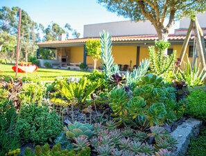 Un jardin où l’on peut admirer différentes espèces de plantes succulentes, avec un bâtiment jaune en arrière-plan.