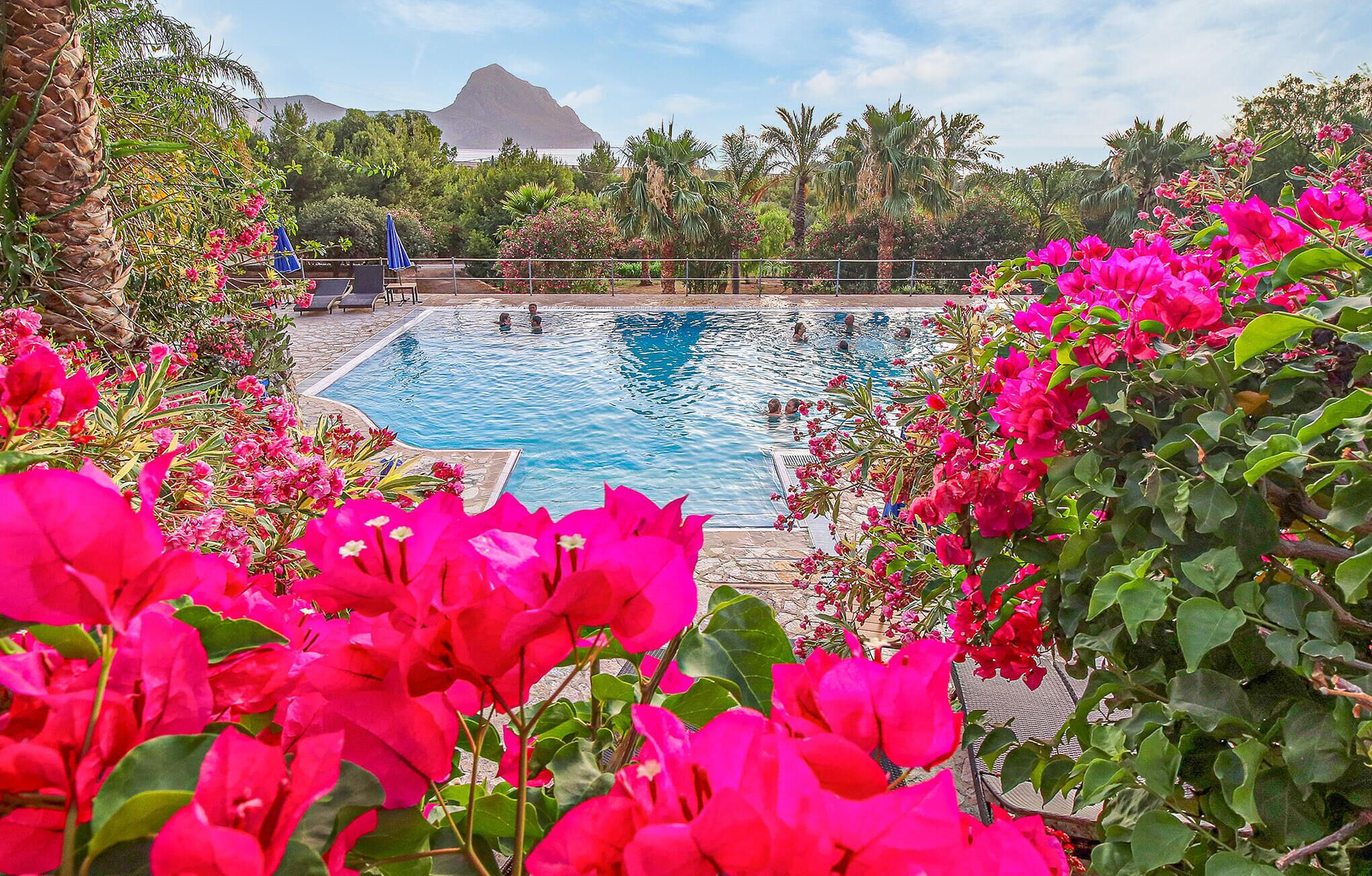 A swimming pool surrounded by lush greenery and vibrant flowers.