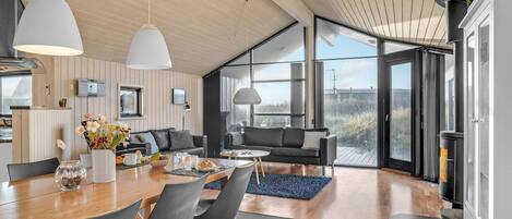 مدفأة، مشغل دي في دي