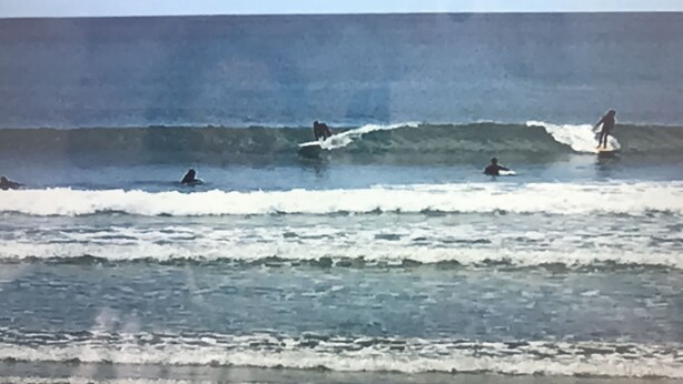 Une plage avec des vagues et des surfeurs.
