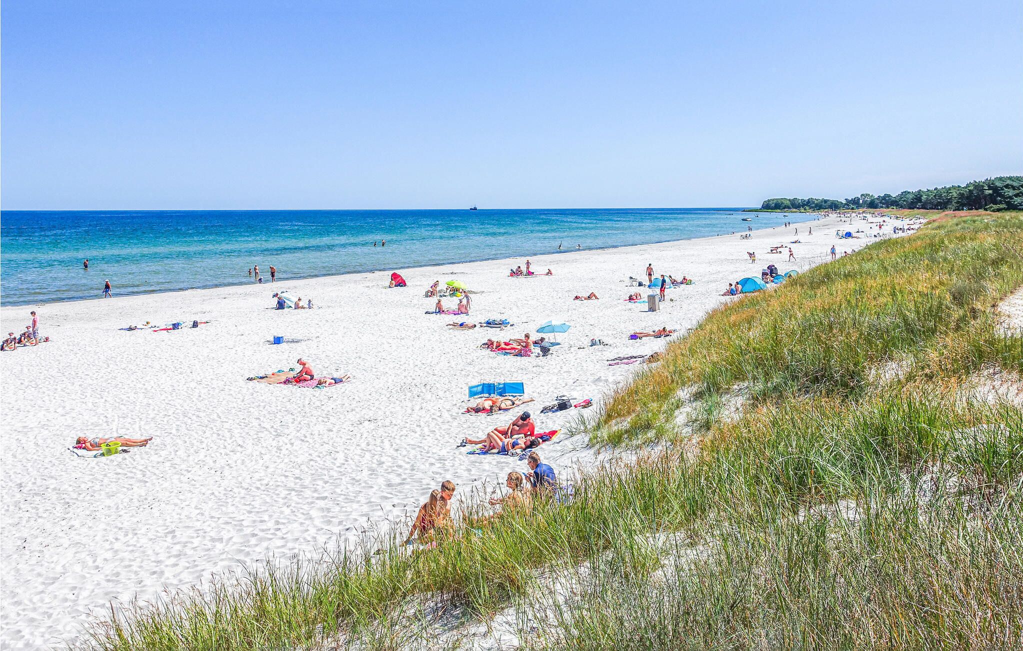 A beach with people sunbathing and swimming, tents set up, and a clear blue sky.