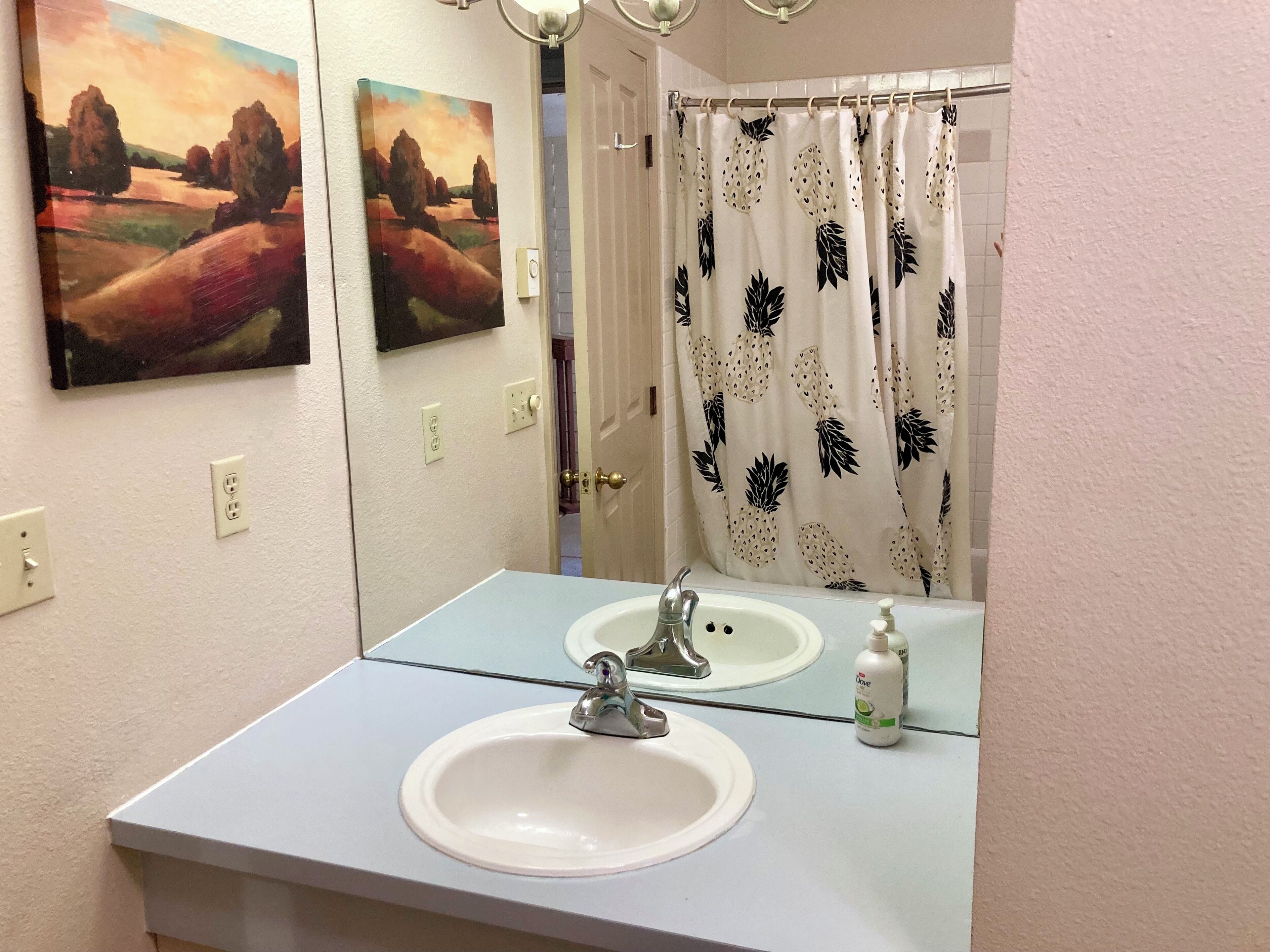 A bathroom with a white sink, a mirror, and a painting of a landscape on the wall.