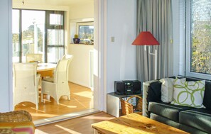 Televisión, chimenea y reproductor de DVD