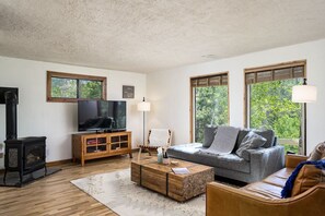 Smart TV, fireplace, DVD player, books