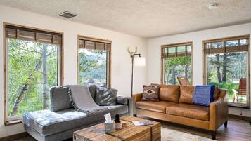 Smart TV, fireplace, DVD player, books