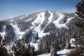 Photo non classée, 3 sur 58, bouton