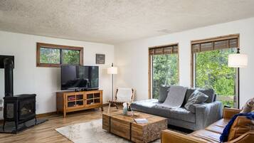 TV connectée, cheminée, lecteur de DVD, livres