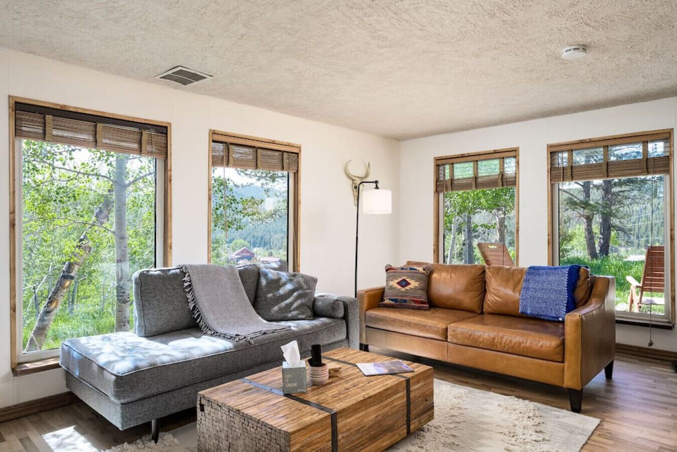 TV connectée, cheminée, lecteur de DVD, livres