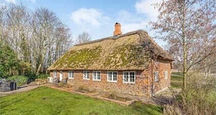 Tolles Haus mit 1 Schlafzimmer in Højer