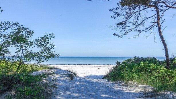 Un sentier de sable qui longe la plage et mène à l’océan, bordé de verdure.