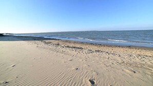 Une plage avec un ciel dégagé, un rivage sablonneux et une jetée visible au loin.