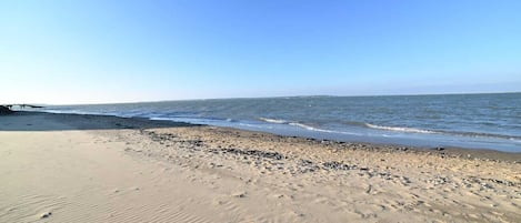 Nära stranden