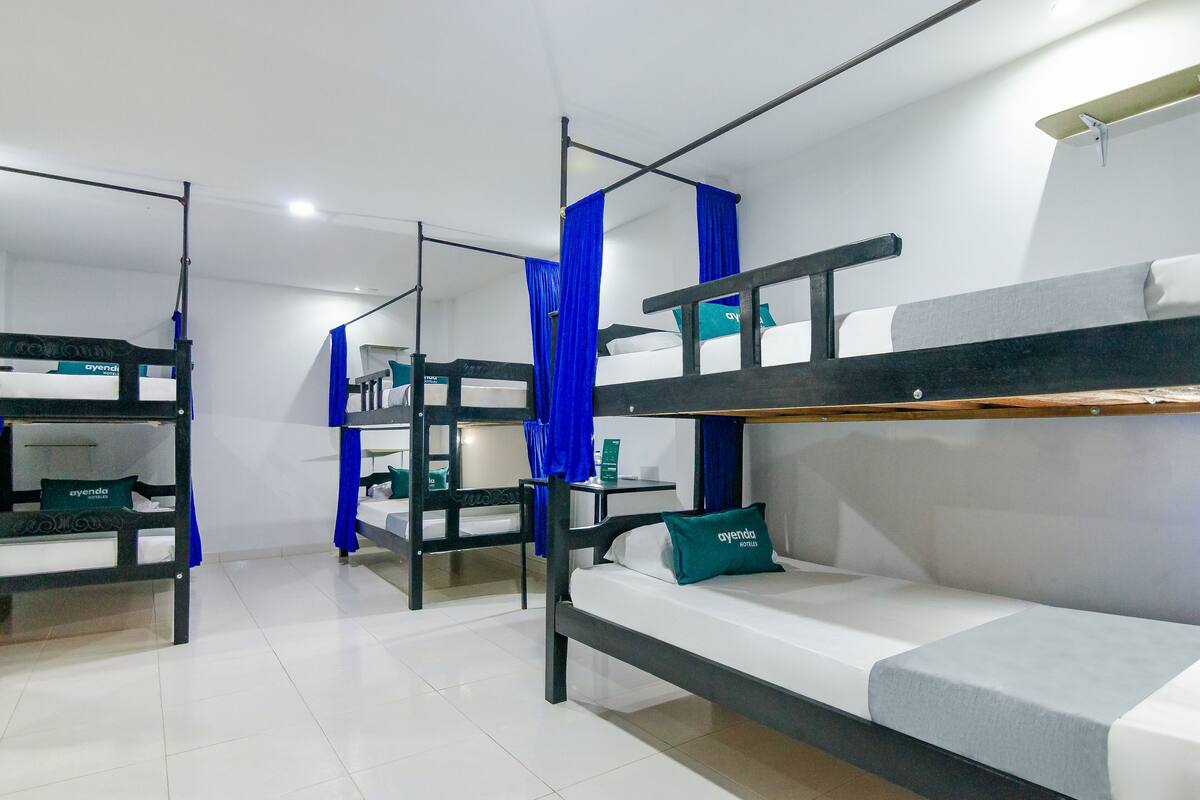 Hypo-allergenic bedding, free WiFi, bed sheets