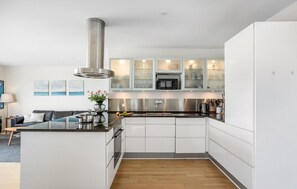 Fridge, stovetop, dishwasher