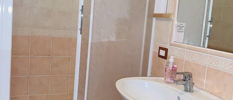 Shower, hair dryer, bidet, towels