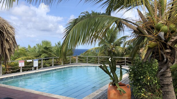 A swimming pool surrounded by palm trees and a view of the ocean.
