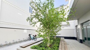 A courtyard with a tree, a bike, and a bench.