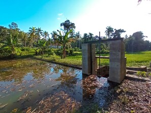 Property grounds - Mabodale Estate Villa (Divulapitiya)