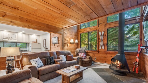 Interior acogedor de una cabaña de madera con sala de estar, sofá, mesa de centro, chimenea y zona de cocina.