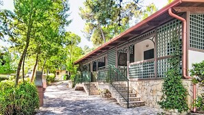 A stone-paved pathway leading to a building with a covered porch and stone walls.