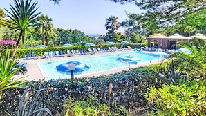 A pool area with lounge chairs and umbrellas, surrounded by tropical plants and trees.