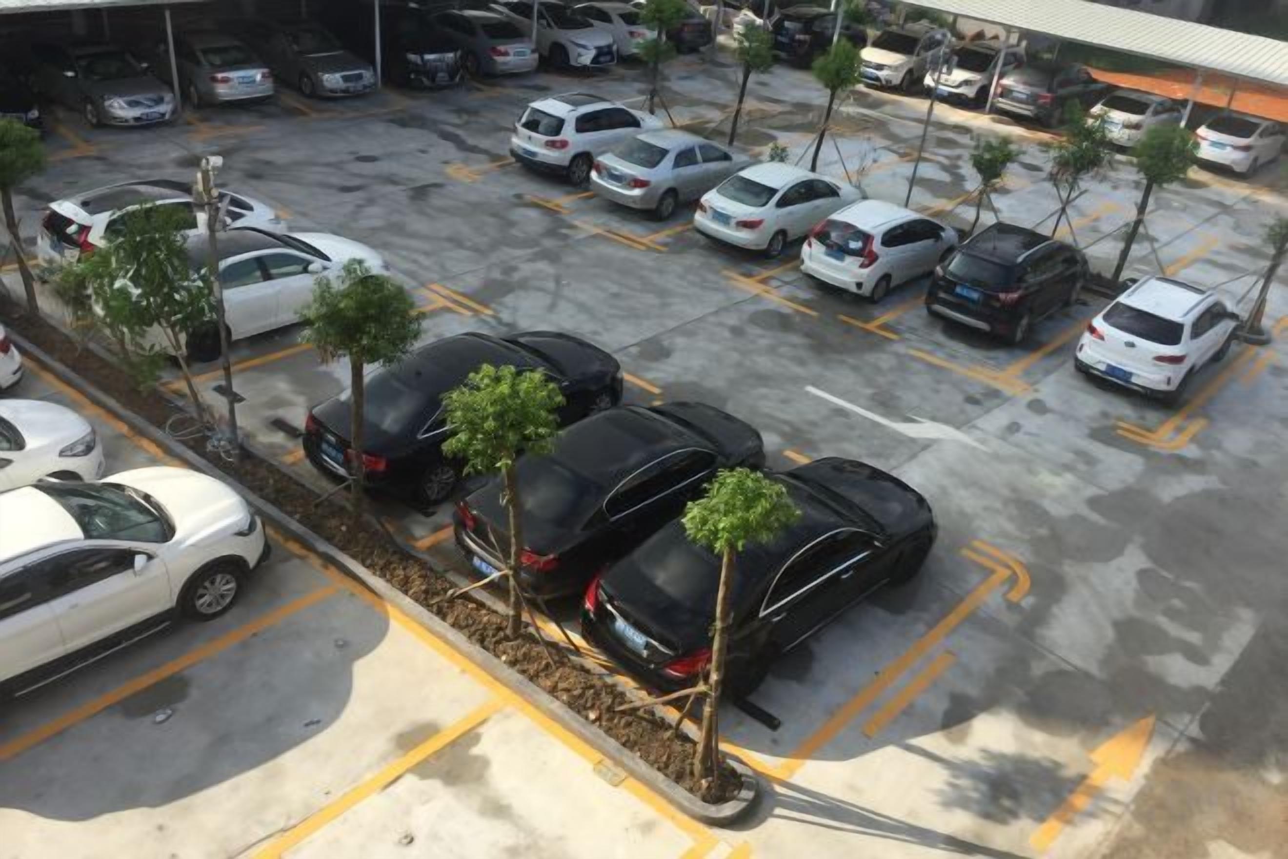 Un estacionamiento con varios autos y pequeños árboles.