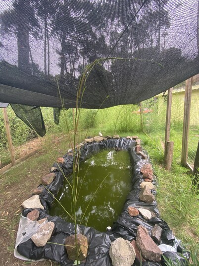 CASA DOS DORMITORIOS Y APARTAMENTO