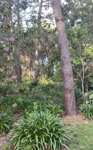 Overnattingsstedets uteområder