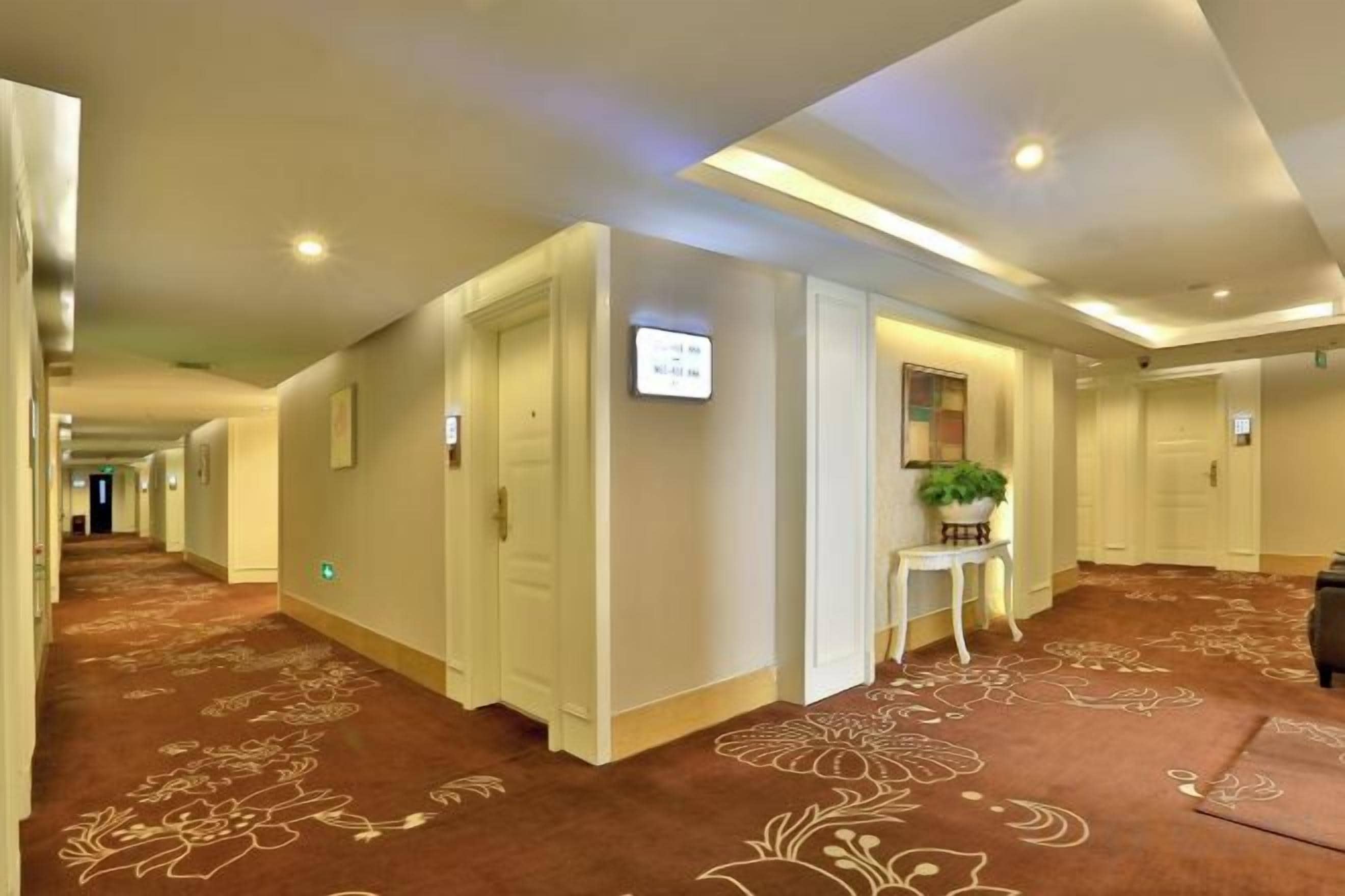 A hotel corridor with carpeted flooring, doors, and a small table with a plant.