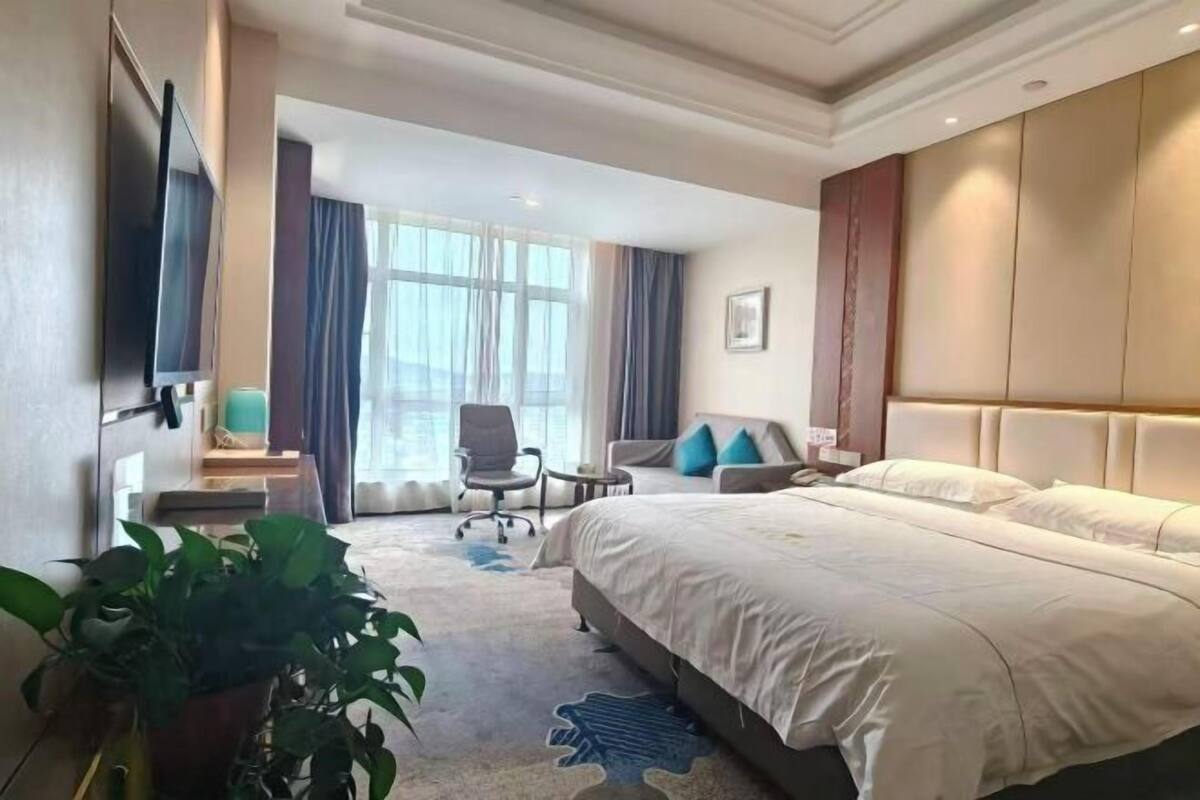 Habitación de hotel con cama, televisión, escritorio, silla, planta y ventana con cortinas.