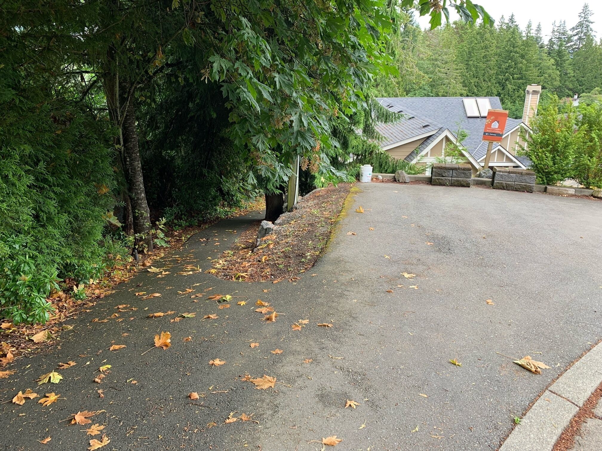 A paved driveway with scattered fallen leaves, surrounded by dense green foliage and a building with a sloped roof and visible chimney.