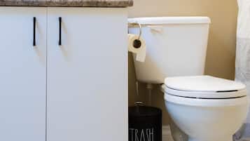 Combined shower/bathtub, hair dryer, towels, soap