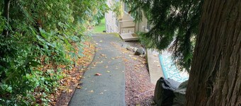 Quiet, cozy 1 bedroom suite, w/ separate entrance. Now with A/C!