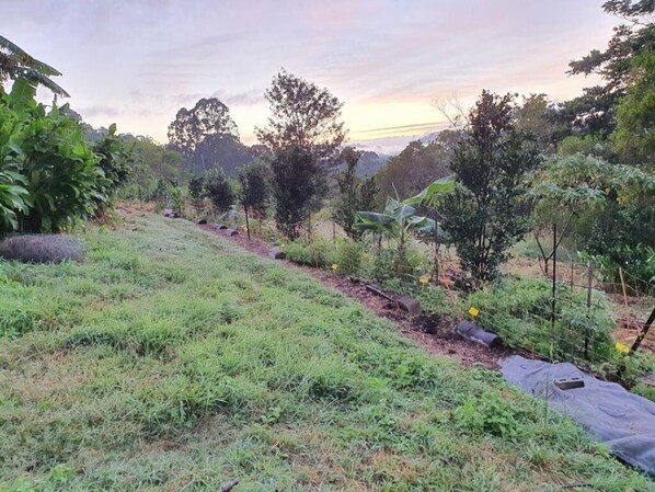 المنطقة المحيطة بالمنشأة