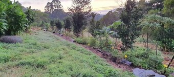 Tiny house on sustainable community