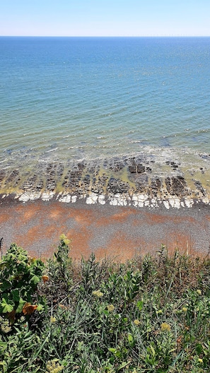 A rocky shoreline with clear water and vegetation in the foreground.