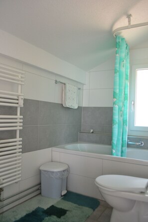 Apartment, 2 Bedrooms, Smoking, Balcony | Bathroom
