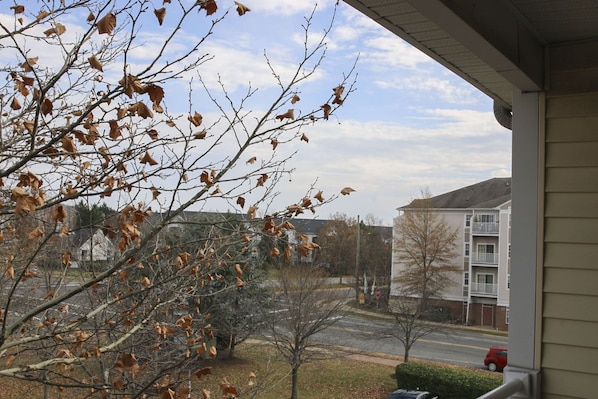 Enjoy a serene view from this peaceful porch, surrounded by a well-manicured lawn and a tree in transition.