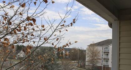 Entire Cozy Nest Minutes From Dulles Airport