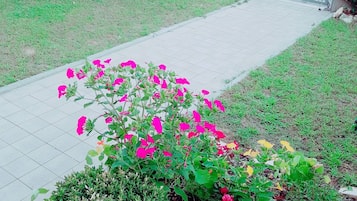 Apartment, 2 Bedrooms, Smoking, Balcony | Property grounds