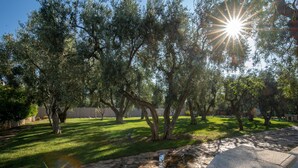 A stone pathway leading through a grassy area with trees and a fence in the background. - "melograno" Holiday Home Featured With Swimming Pool and Private Beach (Mattinata)