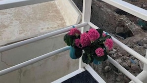 Un balcon donnant sur une ville côtière, avec vue sur les bâtiments et un ciel dégagé.